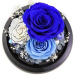 Forever Flowers Real Eternal Roses - Kylin Glory Preserved Flowers Gift with LED Mood Lights for Valentine&#39;s Day Birthday Anniversary, Elegant Present for Girlfriend Wife Mom Women