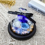 Forever Flowers Real Eternal Roses - Kylin Glory Preserved Flowers Gift with LED Mood Lights for Valentine&#39;s Day Birthday Anniversary, Elegant Present for Girlfriend Wife Mom Women