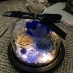 Forever Flowers Real Eternal Roses - Kylin Glory Preserved Flowers Gift with LED Mood Lights for Valentine&#39;s Day Birthday Anniversary, Elegant Present for Girlfriend Wife Mom Women