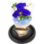 Kylin Glory Forever Flowers Real Eternal Roses Preserved Flowers Gift with LED Mood Lights for Valentine's Day Birthday Anniversary, Elegant Present for Girlfriend Wife Mom Women