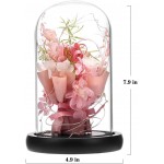 ANLUNOB Preserved Fresh Flower with LED Light - Handmade Rose Mother Day - Forever Rose Gift in Glass Dome - Valentine`s Day