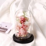 ANLUNOB Preserved Fresh Flower with LED Light - Handmade Rose Mother Day - Forever Rose Gift in Glass Dome - Valentine`s Day