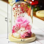 FLOVE Forever Rose in Glass Dome with Preserved Real Pink Flowers, Handmade for Women Girls, Eternal Flowers Decor for Mother's Day, Birthday, Anniversary and Wedding