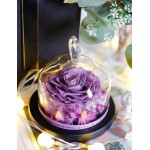 Forever Roses Preserved Real Flowers Eternal Enchanted Rose Flower Box Gift for Valentines Birthday Anniversary Mother's Day Christmas(Lavender)