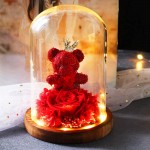 Rose Eternal Rose- Preserved Flower Rose Bear Handmade Fresh Flower Rose in Beautiful Glass Dome Best Gift for Valentine&#39;s Day Mother&#39;s Day Thanksgiving Birthday (red)