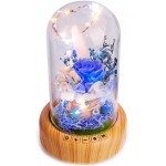 Real Preserved Rose in Glass Dome, DDSKY Enchanted Preserved Rose Eternal Flowers Rose LED Light with Bluetooth Speaker Gift for Christmas Valentine Day Mothers Day Birthday, Blue