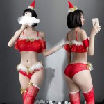 SINMIUANIME Ladies Lingerie Cosplay Lingerie Christmas Princess Dress Sexy one-Piece mesh Dress Suit