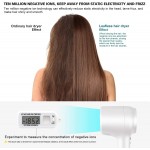 Chignon Smart Leafless Ionic Hair Dryer, 1600W Professional Blow Dryer with Negative-Ion Low Noise and Constant Temperature Technology,Powerful Fast Drying with 2 Concentrator Nozzle Attachments