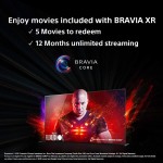 Sony X90J 65 Inch TV: BRAVIA XR Full Array LED 4K Ultra HD Smart Google TV with Dolby Vision HDR and Alexa Compatibility XR65X90J- 2021 Model