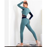 LBBL Yoga Set, Seamless Ensemble Sexy Sport Suit Women Sportswear Fitness Set Workout Gym Wear Running Clothing Tracksuit Leggings Yoga Set (Color : A, Size : Medium)