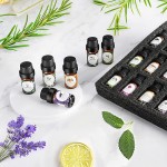 Essential Oils Set, Aromatherapy Essential Oil Kit for Diffuser, Humidifier, Massage, Skin Care (32 x 5ml) - Eucalyptus, Lavender, Tea Tree, Peppermint, Lemongrass, Frankincense, Cinnamon, Sandalwood